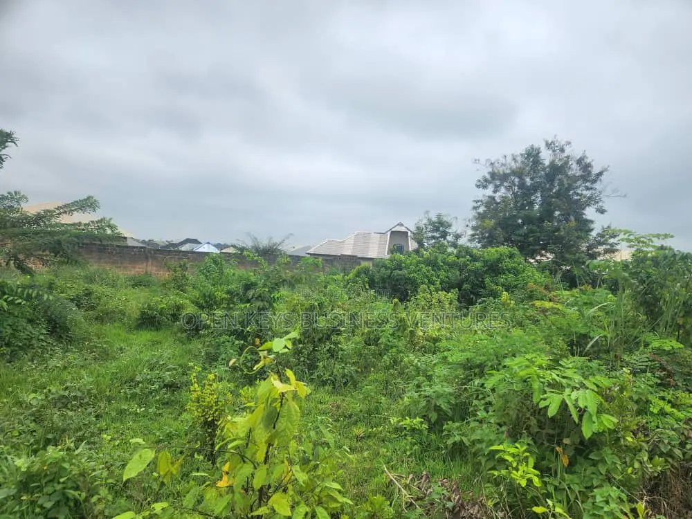 A Well Fenced Plot of Land in Odo Ona