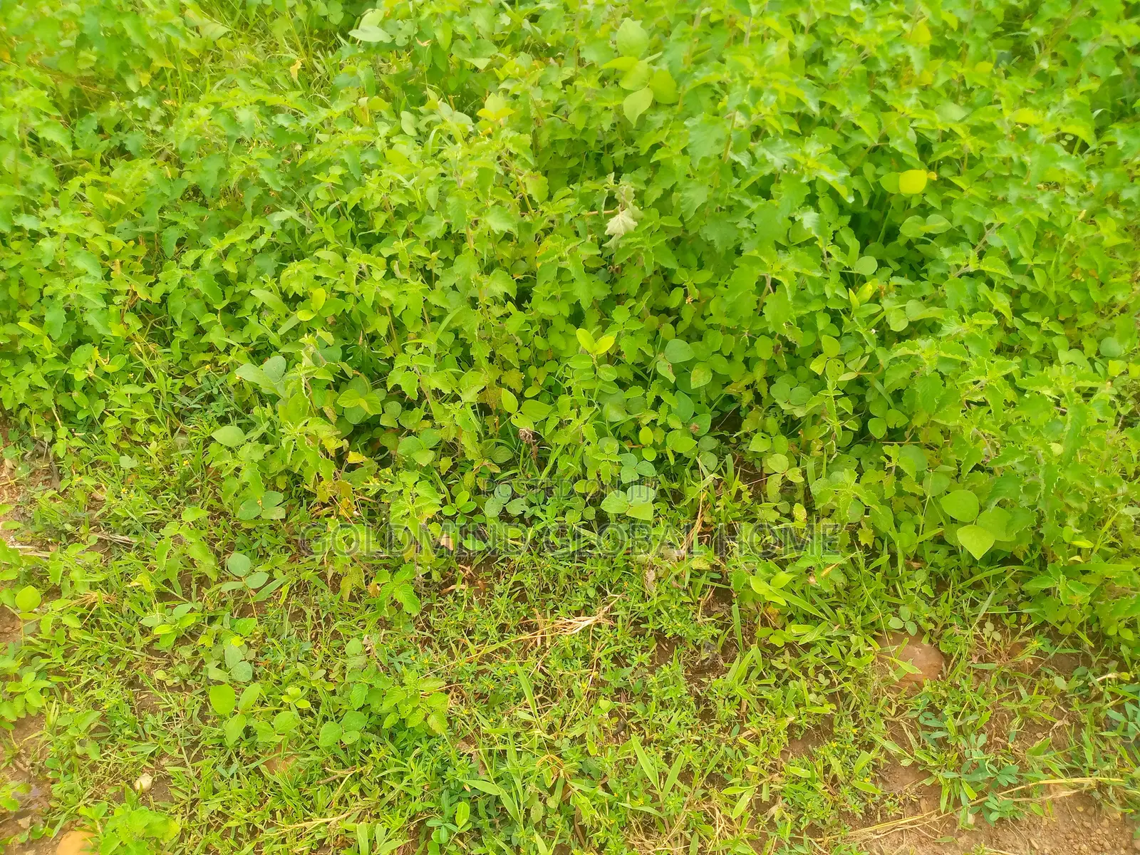 450sqm. Residential Land for Sale in Kubwa District. Abuja - Nigeria in Kubwa