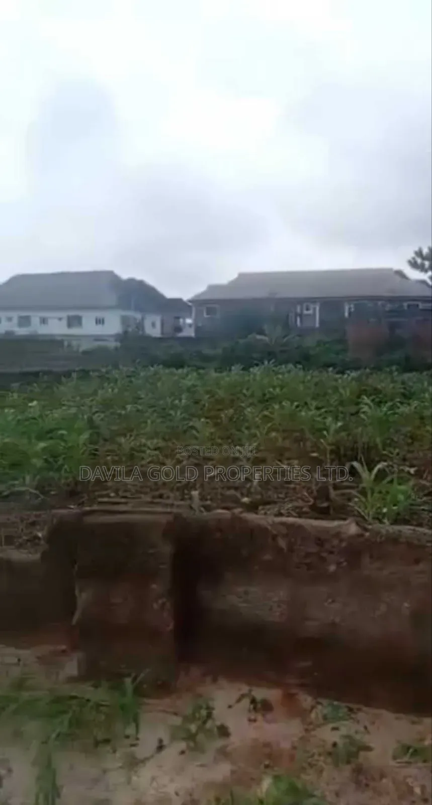 Hot Deal! 50×100ft Prime Land at Ogunmwenyi, Banana Road —  in Benin City