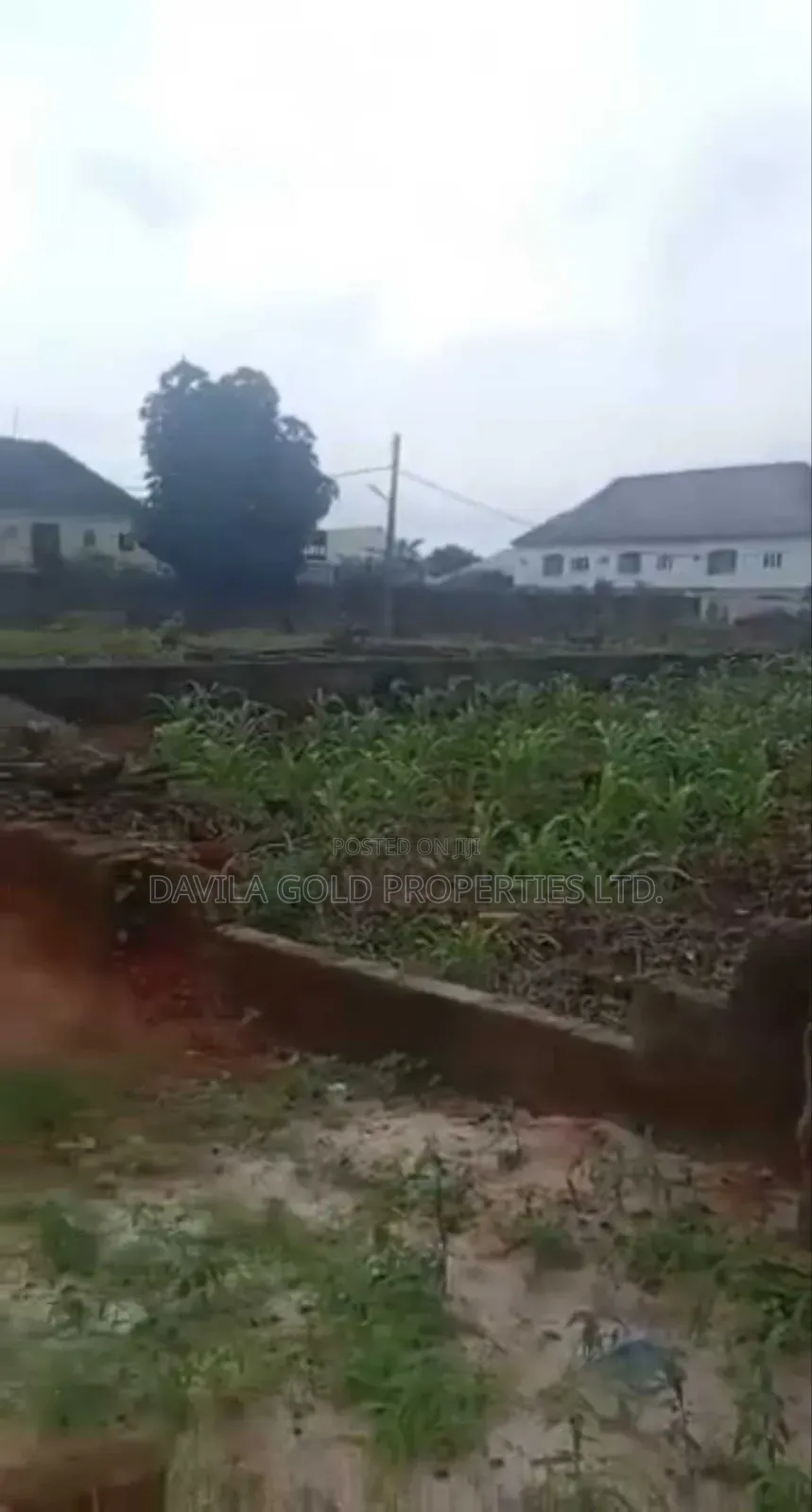 Hot Deal! 50×100ft Prime Land at Ogunmwenyi, Banana Road —  in Benin City