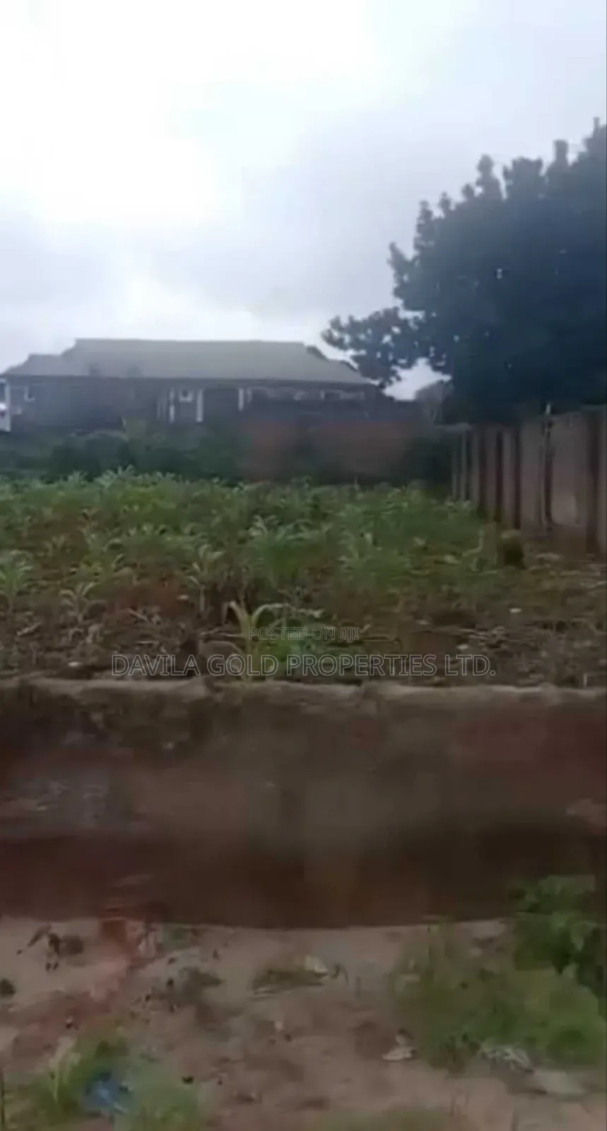Hot Deal! 50×100ft Prime Land at Ogunmwenyi, Banana Road —  in Benin City