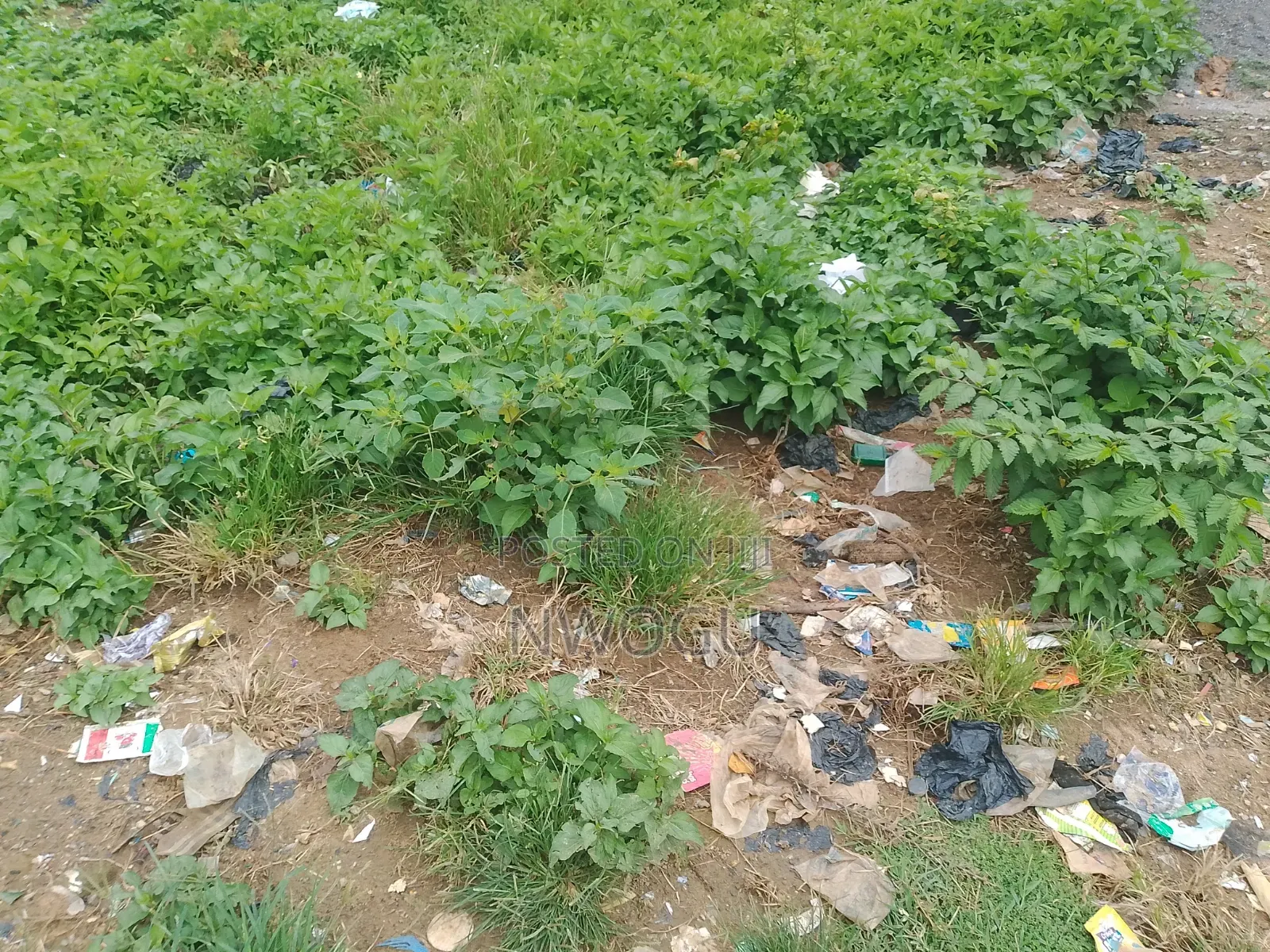 3.38 Hectares of Jv Land at Kaura in Kaura