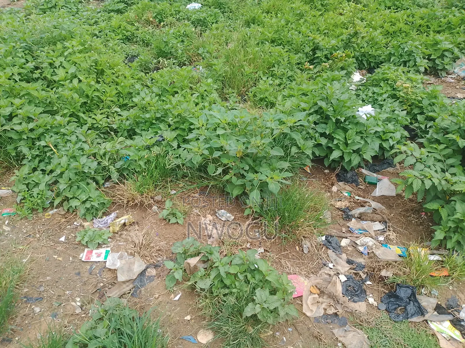 3.38 Hectares of Jv Land at Kaura in Kaura