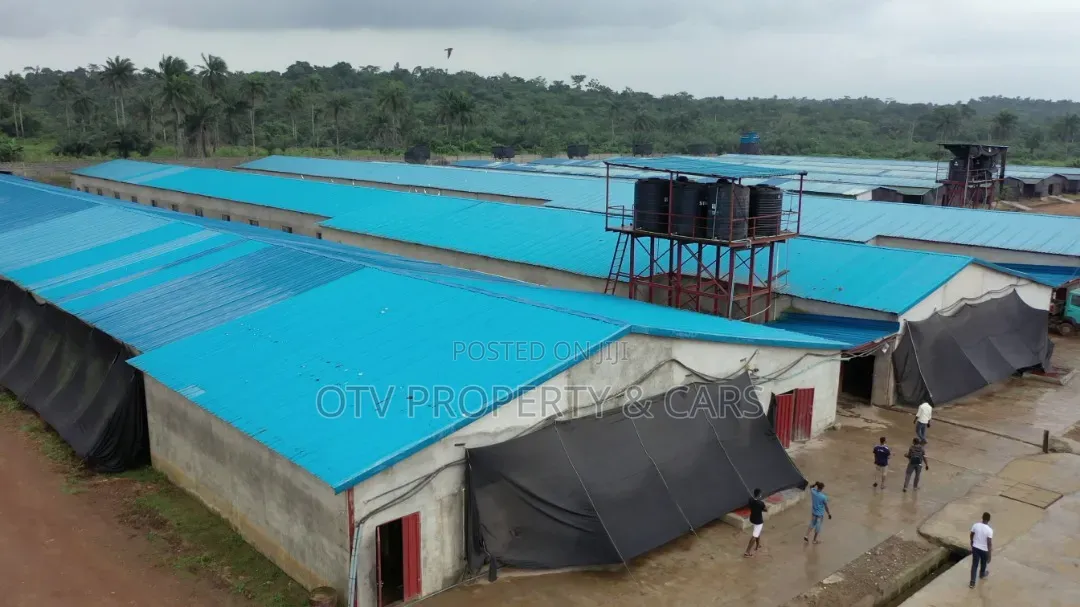 20 Hectares Poultry Farm for Sale in Ijebu Ode
