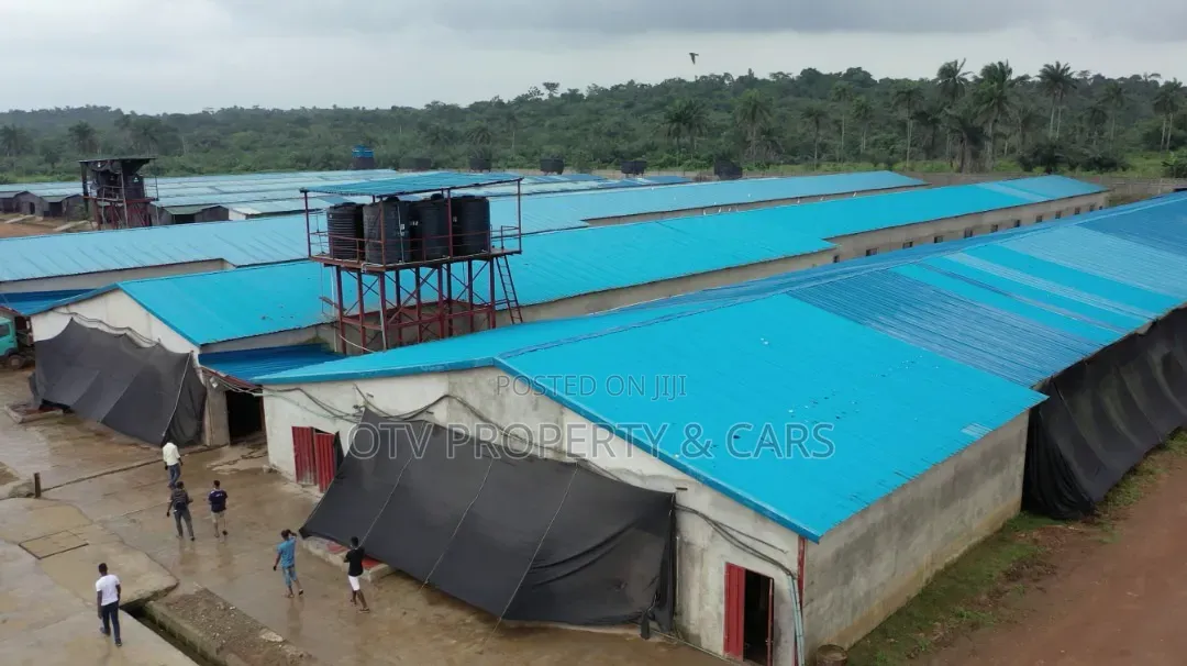 20 Hectares Poultry Farm for Sale in Ijebu Ode