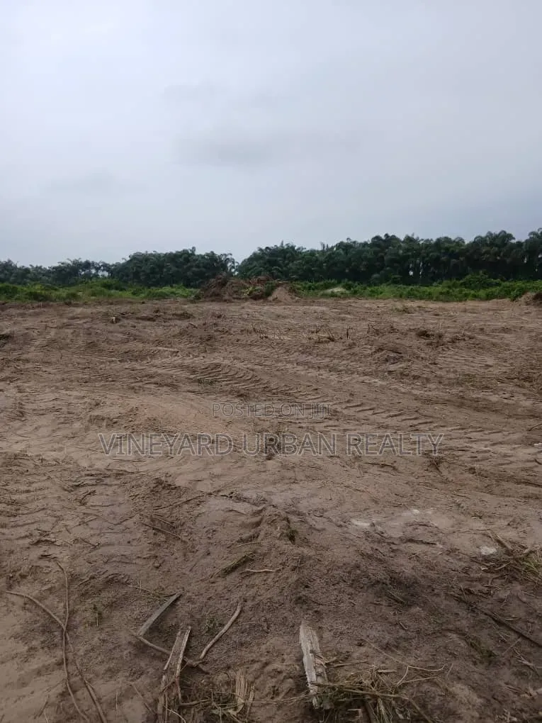Promo Offer in Ibeju-Lekki | Government Allocated | Free Inspection in Elerangbe
