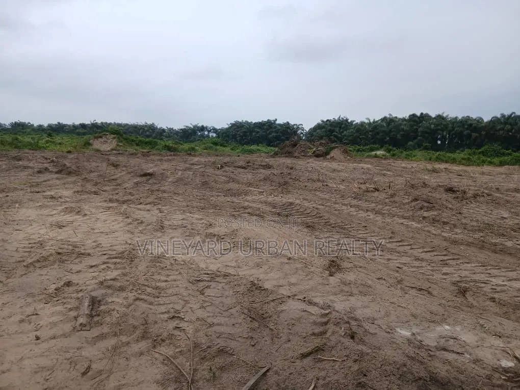 Promo Offer in Ibeju-Lekki | Government Allocated | Free Inspection in Elerangbe