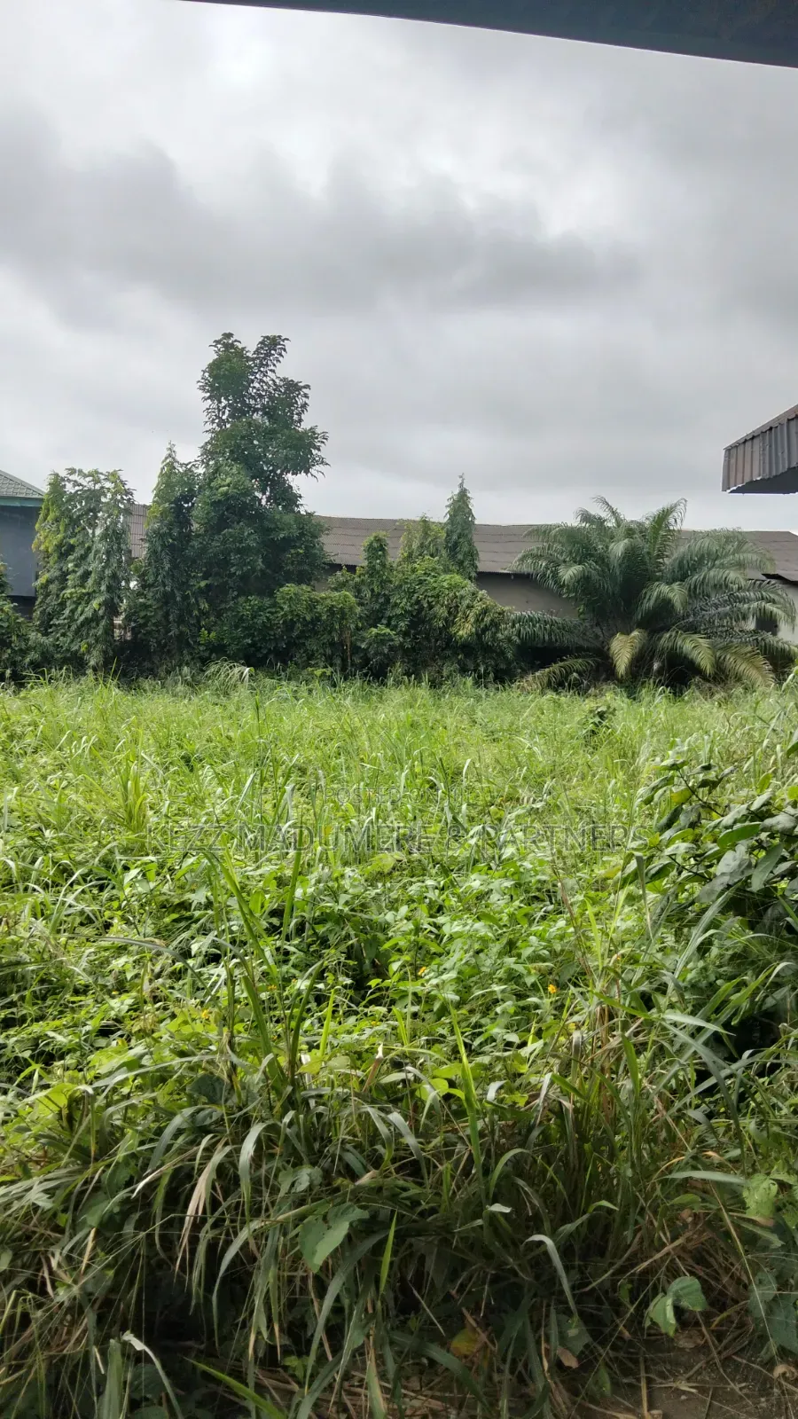 For Sale : 52 Plot Near New Road Eliozu Roundabout, Ph in Port-Harcourt