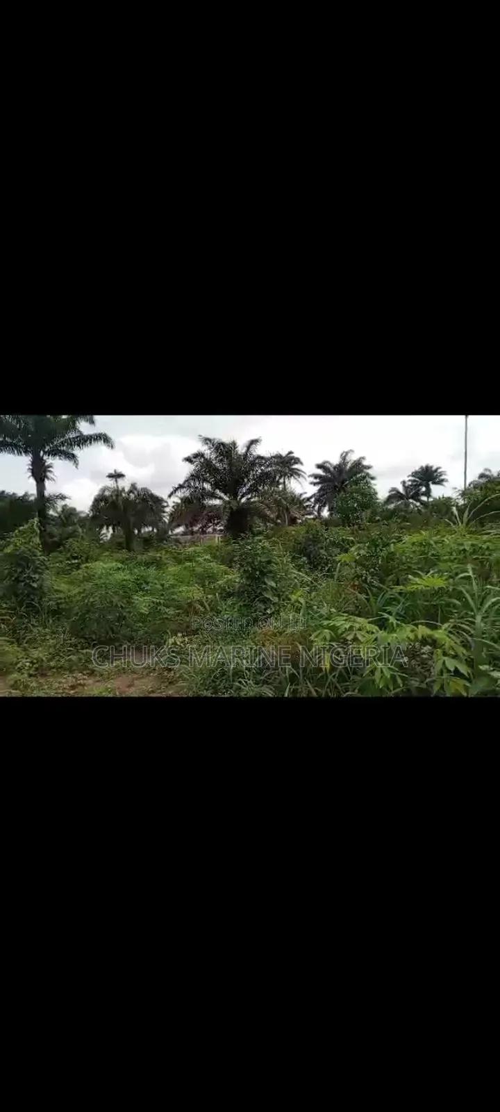 Affordable 6 Plots in Omademe, Rivers State – Ready Documents in Port-Harcourt