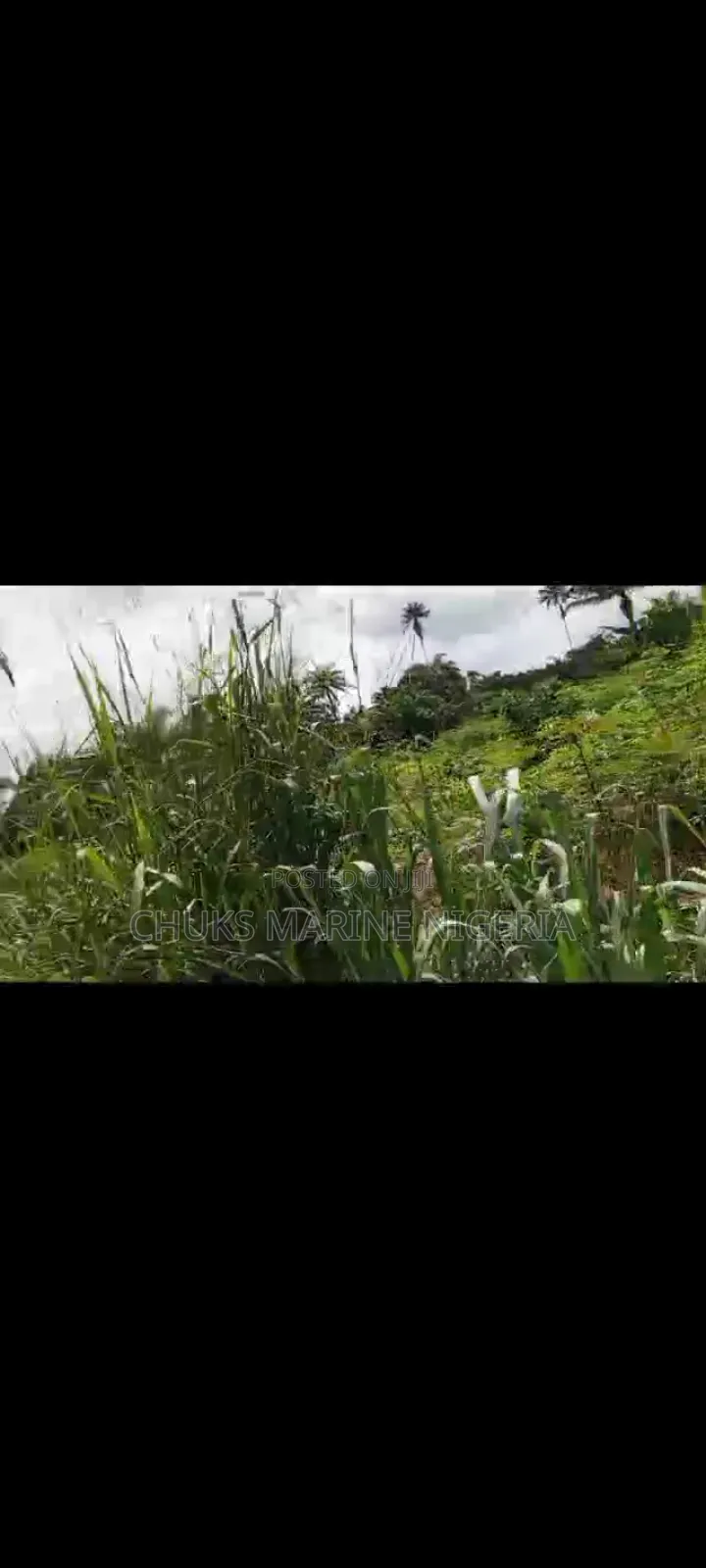 Affordable 6 Plots in Omademe, Rivers State – Ready Documents in Port-Harcourt