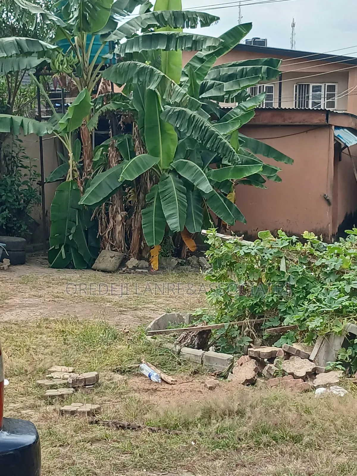 Sweet 30ft by 100ft Half Plot Off College Road Ogba.N87m Net in Ifako-Ogba