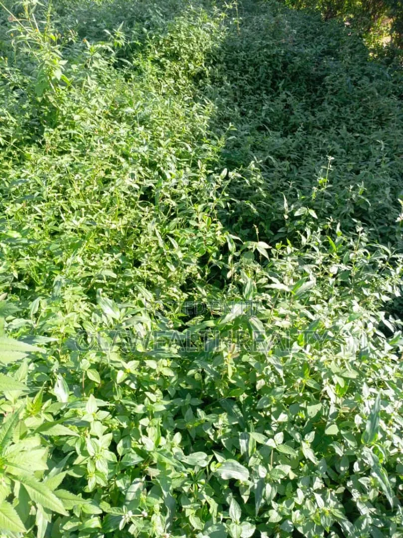 2,230sqm(4 Plots) Residential Land at Akobo-Ojurin in Akobo