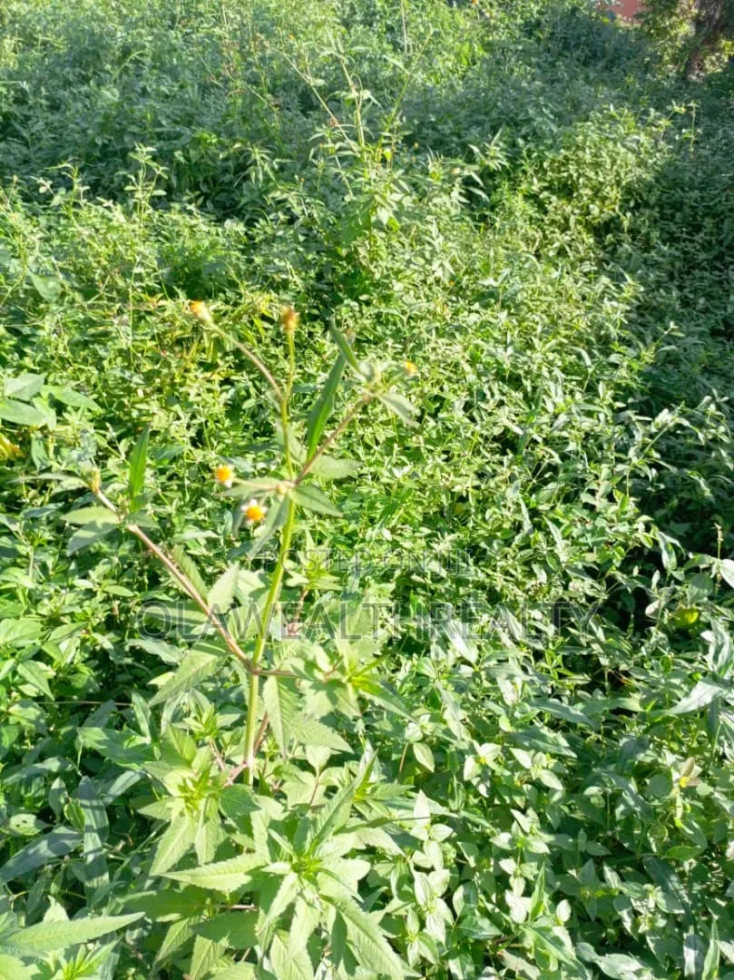 2,230sqm(4 Plots) Residential Land at Akobo-Ojurin in Akobo