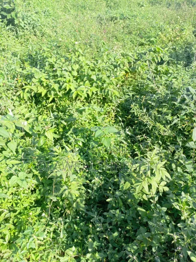 458sqm Residential Land at Tiger Mini Estate Phase 1, Ojoo in Ojoo