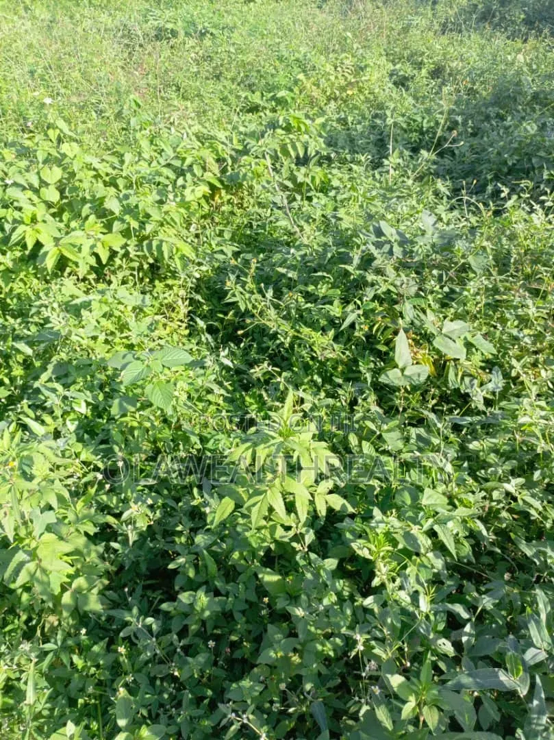 458sqm Residential Land at Tiger Mini Estate Phase 1, Ojoo in Ojoo