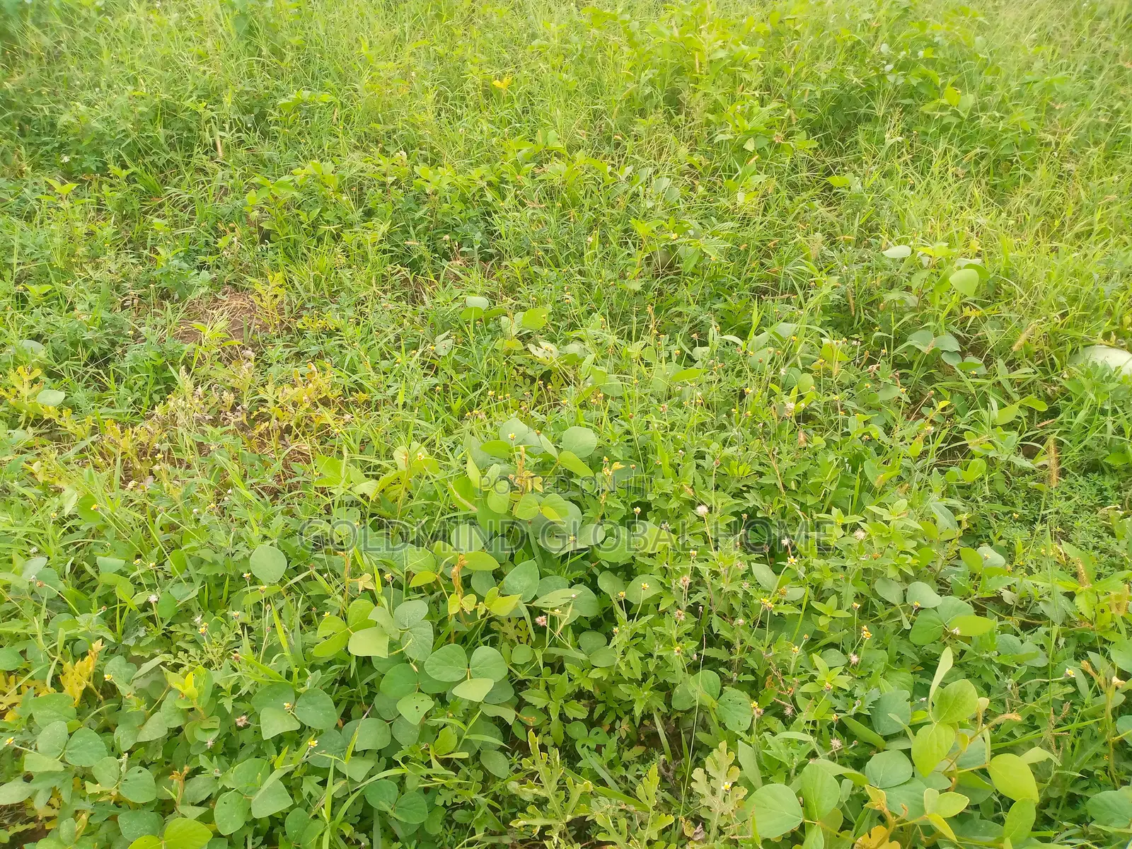 450sqm. Residential Land for Sale in Kubwa. Abuja - Nigeria in Kubwa