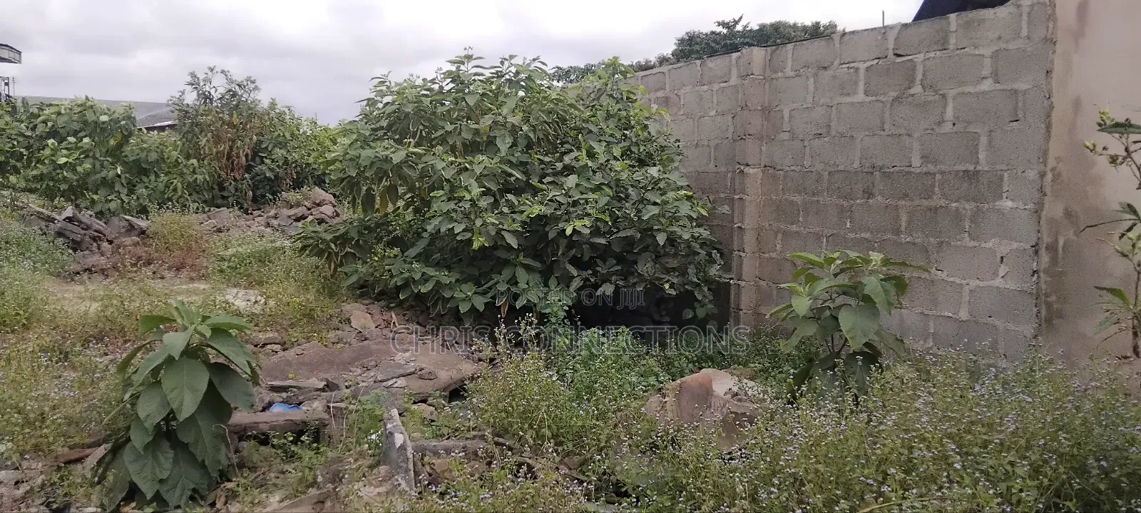 35 by 126 Empty Land Fenced and Gated, Dry Land in Ejigbo / Ejigbo
