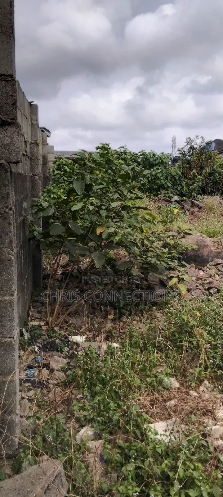 35 by 126 Empty Land Fenced and Gated, Dry Land in Ejigbo / Ejigbo