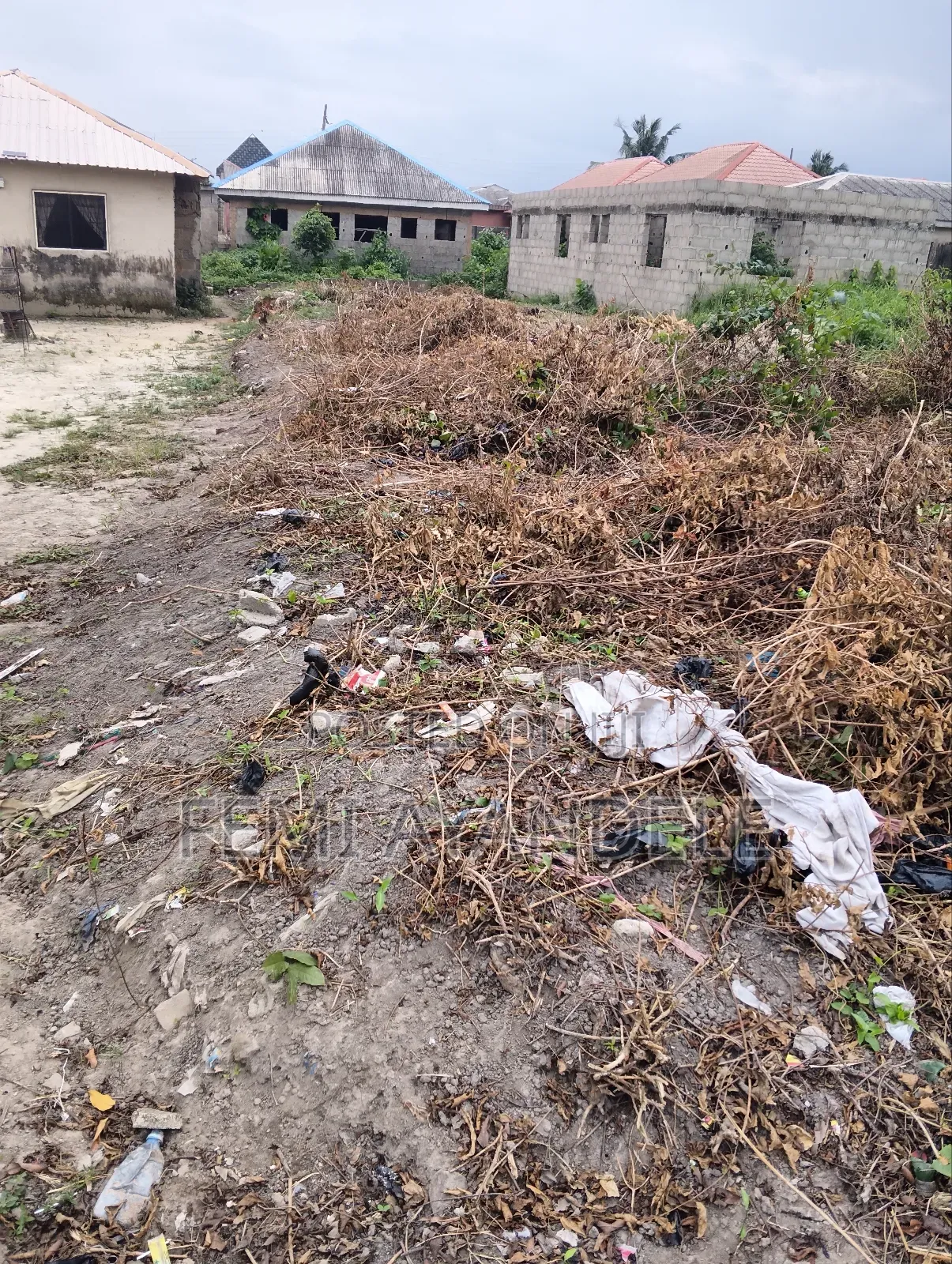 Land in a Good Location in Igbogbo
