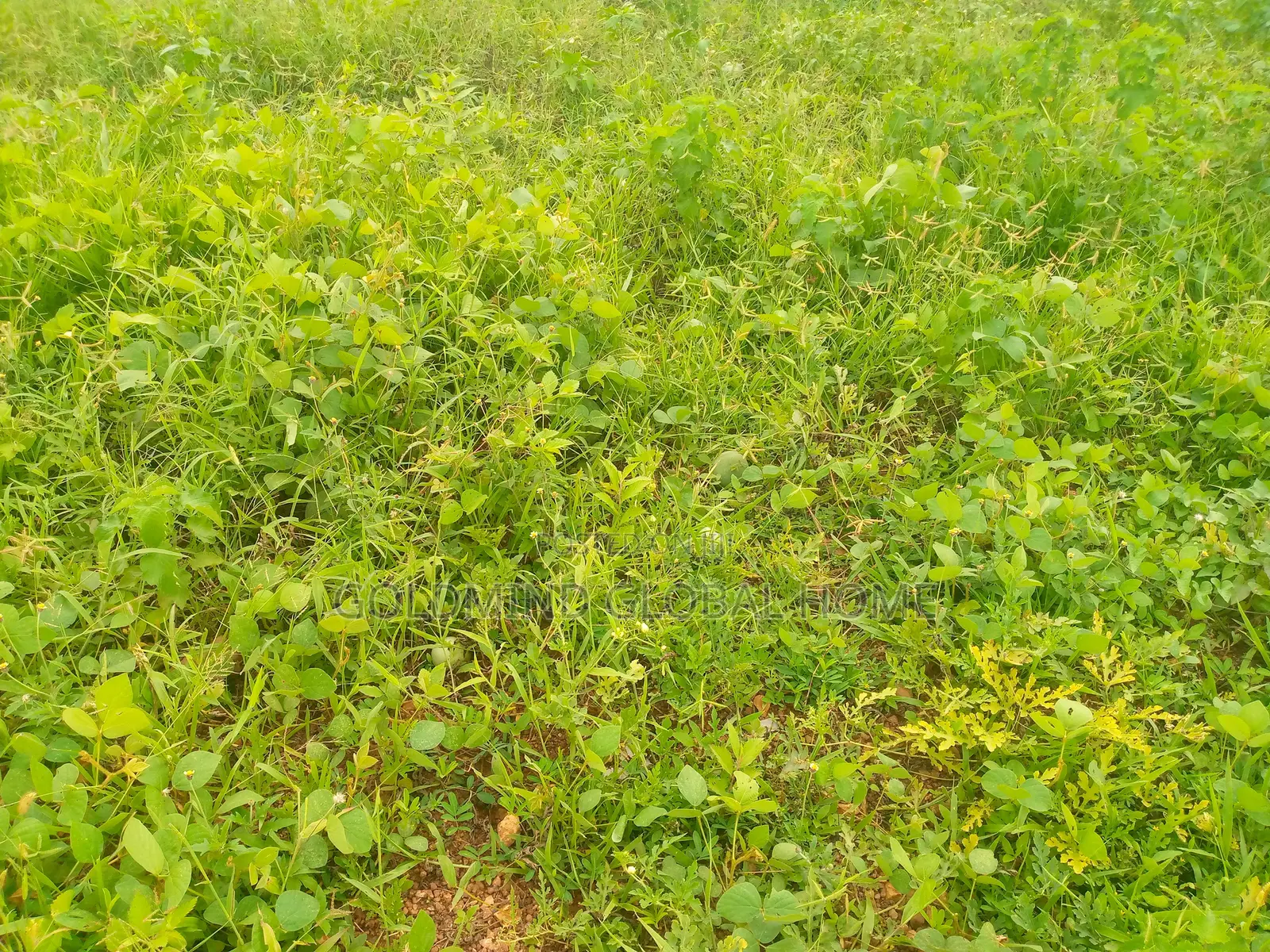 600sqm. Residential Land for Sale in Kubwa Fo1. Abuja - Nigeria in Kubwa