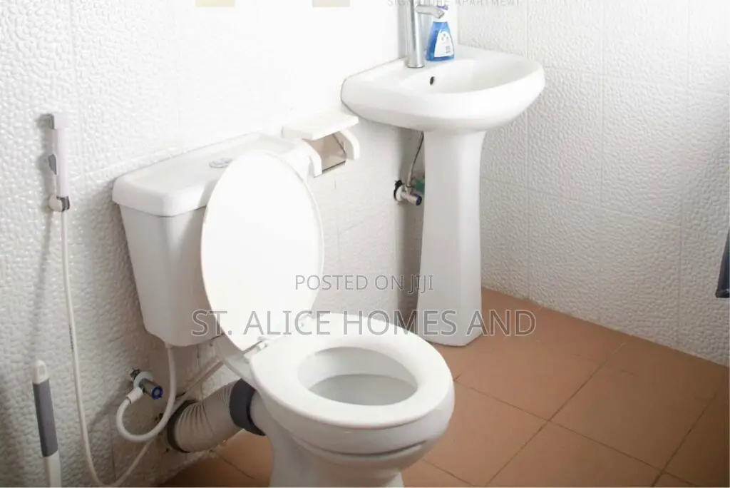 4 Bedroom Presidential Apartment in GRA Phase 1