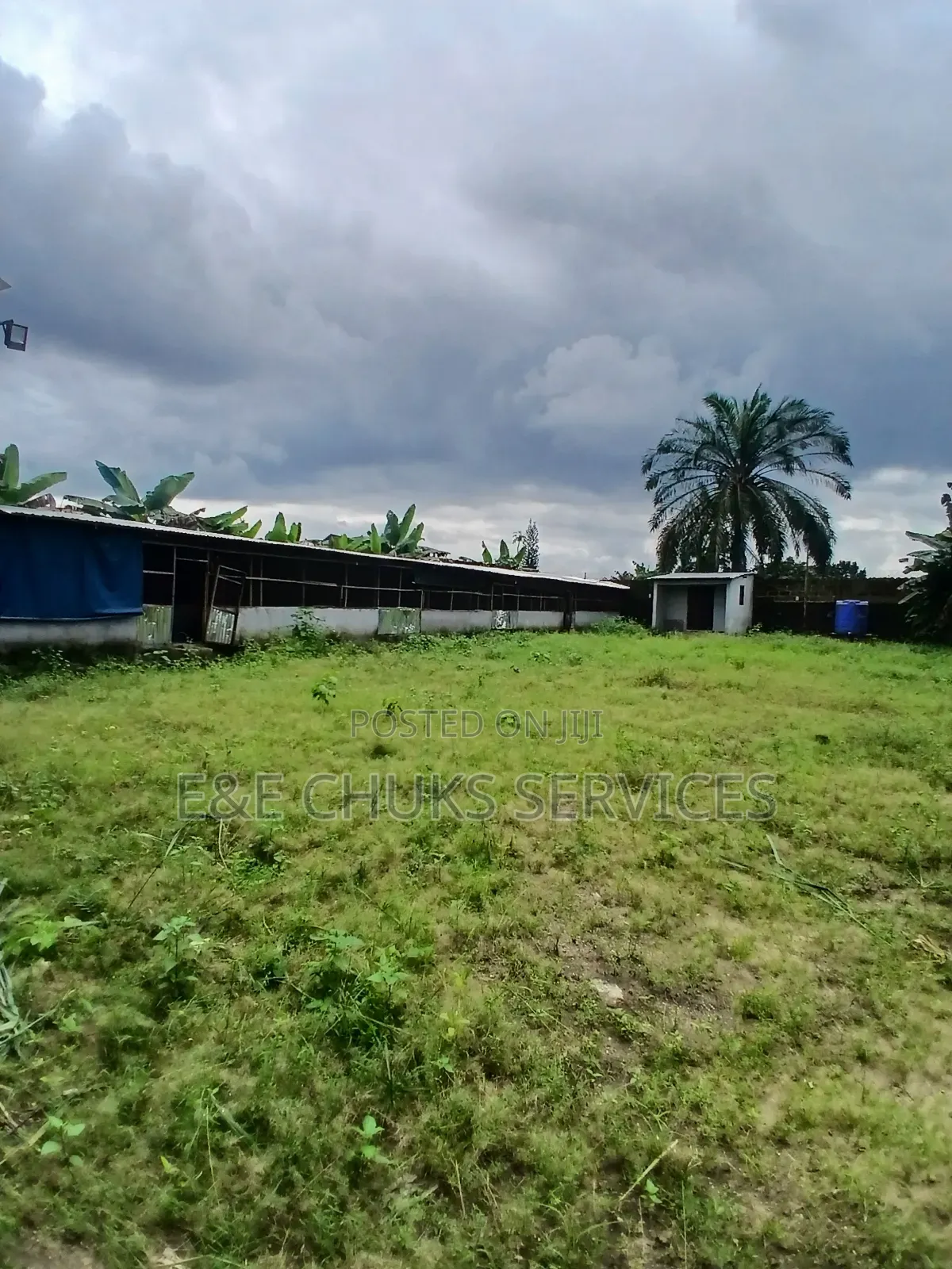Poetry Farm With Self Con on 3 Plots of Lands for Lease at Obigbo in Oyigbo