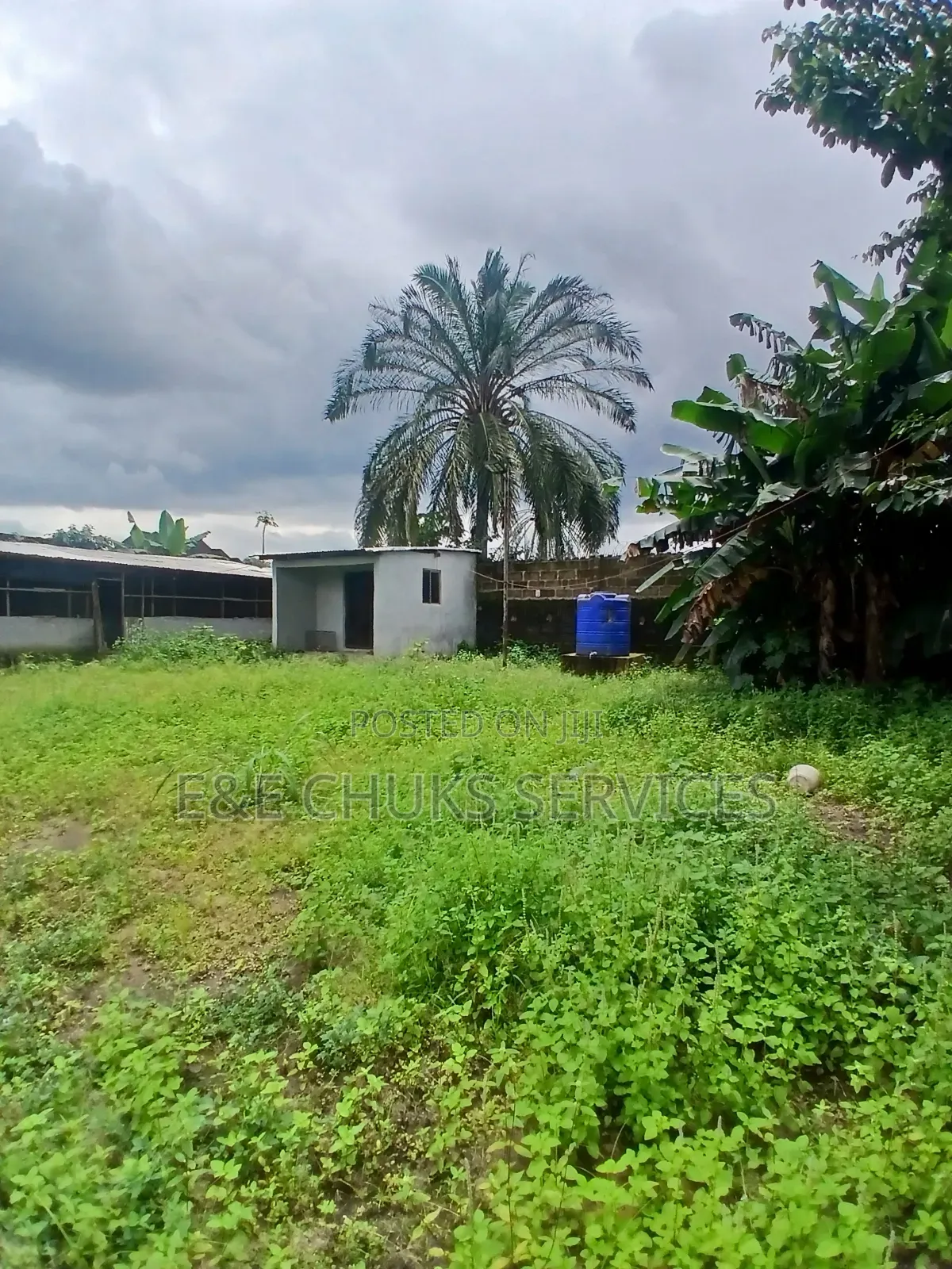 Poetry Farm With Self Con on 3 Plots of Lands for Lease at Obigbo in Oyigbo