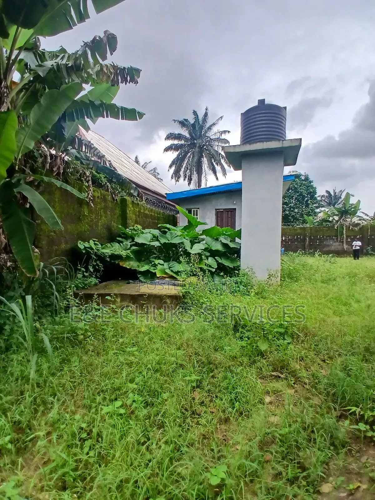 Poetry Farm With Self Con on 3 Plots of Lands for Lease at Obigbo in Oyigbo