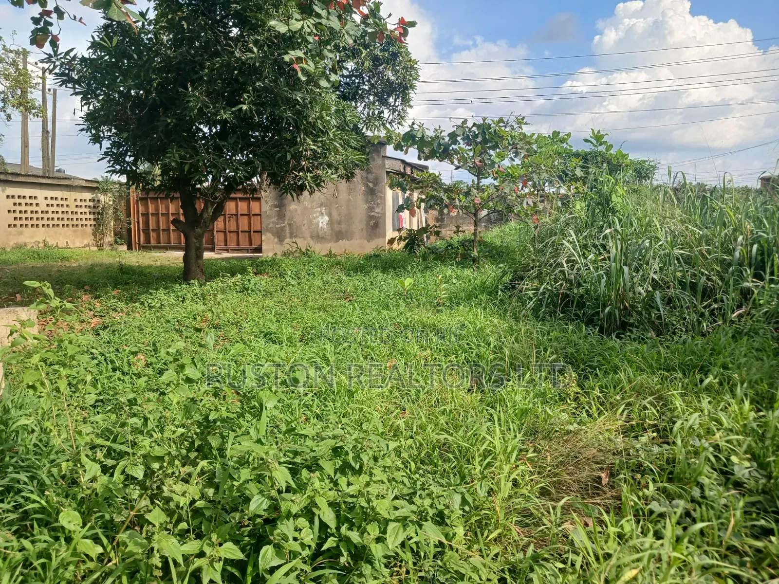 2 Acres of Commercial Land in Akobo