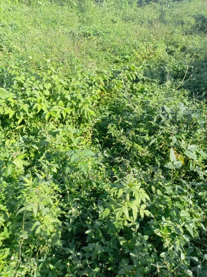 A Plot of Land (900sqm) Farmland at Kwali in Kwali