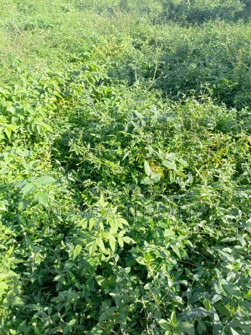A Plot of Land (900sqm) Farmland at Kwali in Kwali
