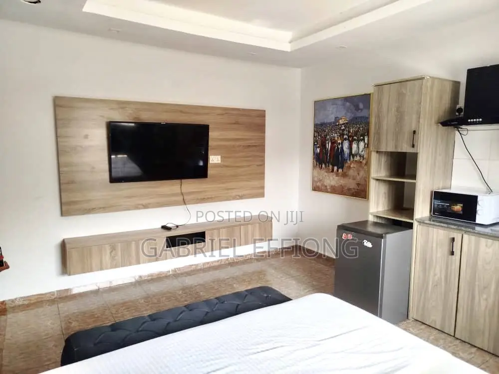 Furnished Studio Apartment in Garki for rent in Garki