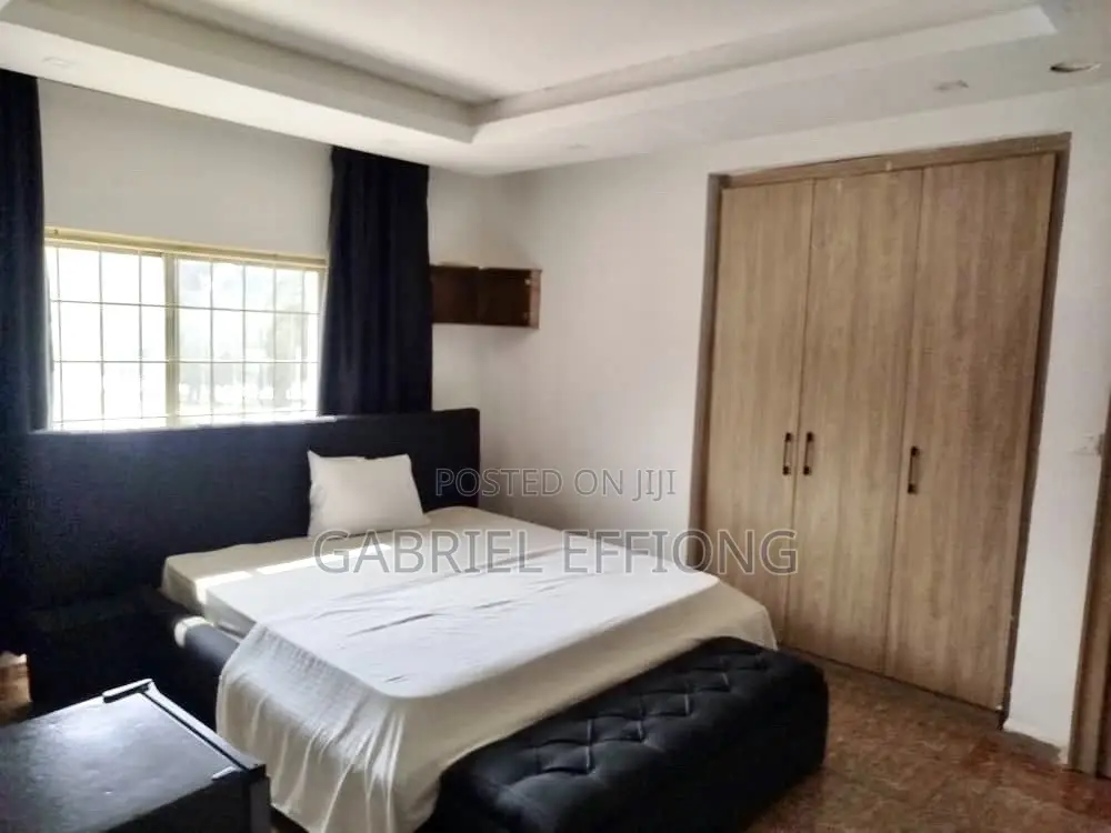 Furnished Studio Apartment in Garki for rent in Garki