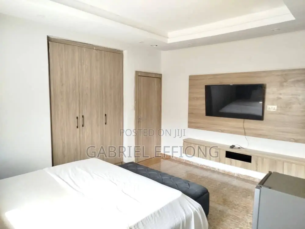 Furnished Studio Apartment in Garki for rent in Garki