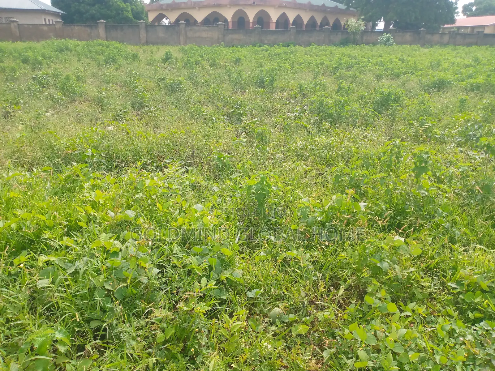 1 Hectare of Farmland for Sale in Kuje District. Abuja - Nigeria in Kuje