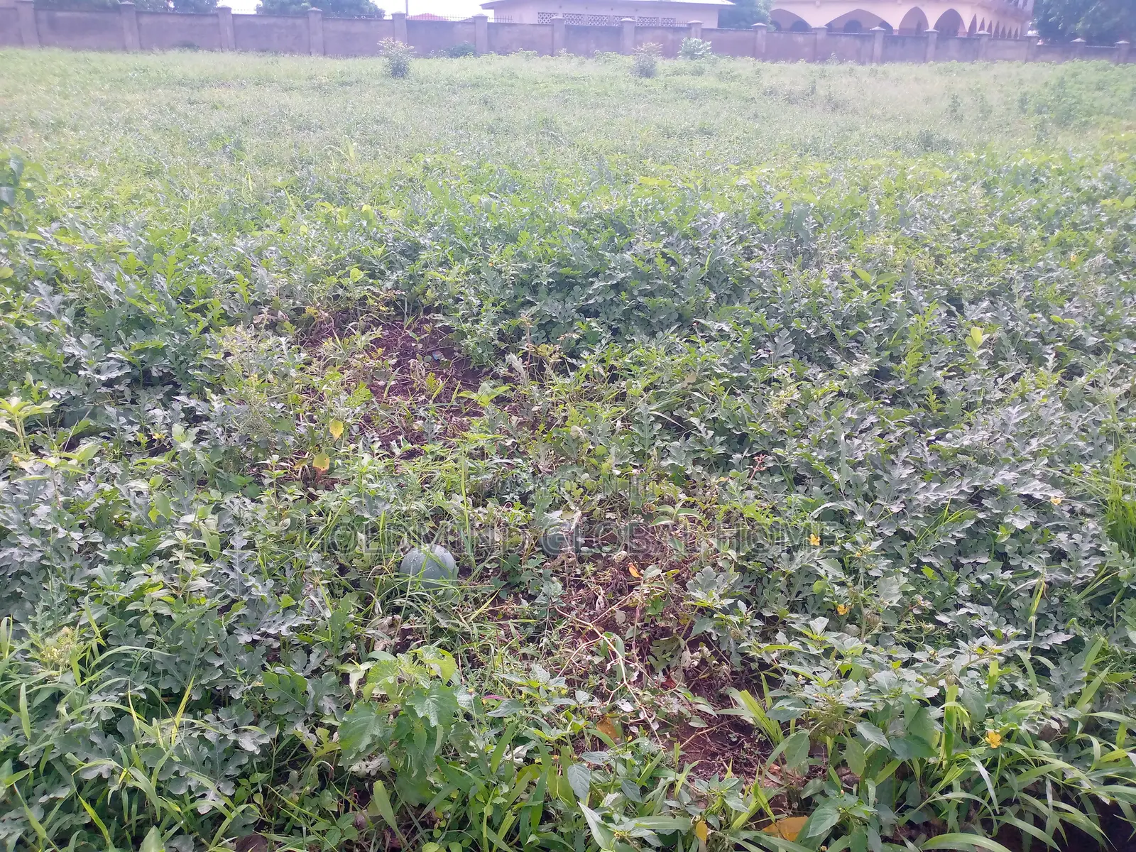 4 Hectare of Farmland for Sale in Kuje District. Abuja - Nigeria in Kuje