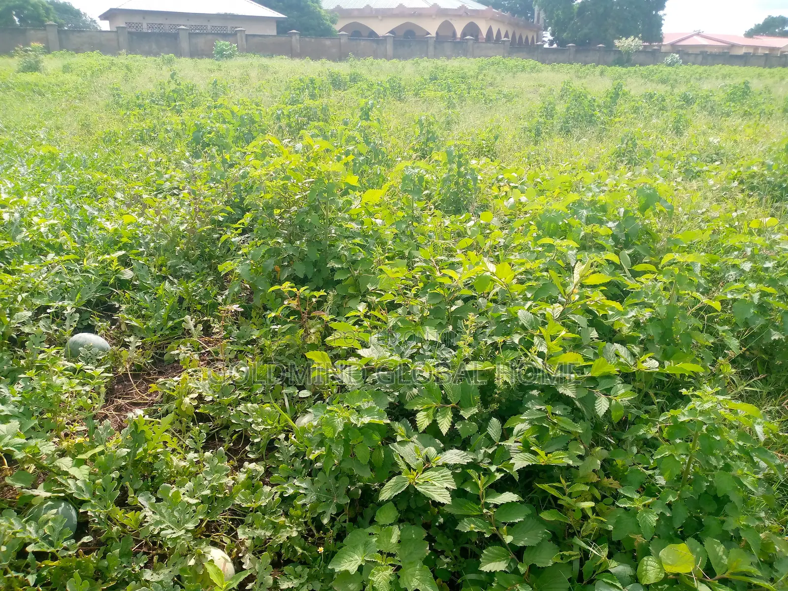 4 Hectare of Farmland for Sale in Kuje District. Abuja - Nigeria in Kuje