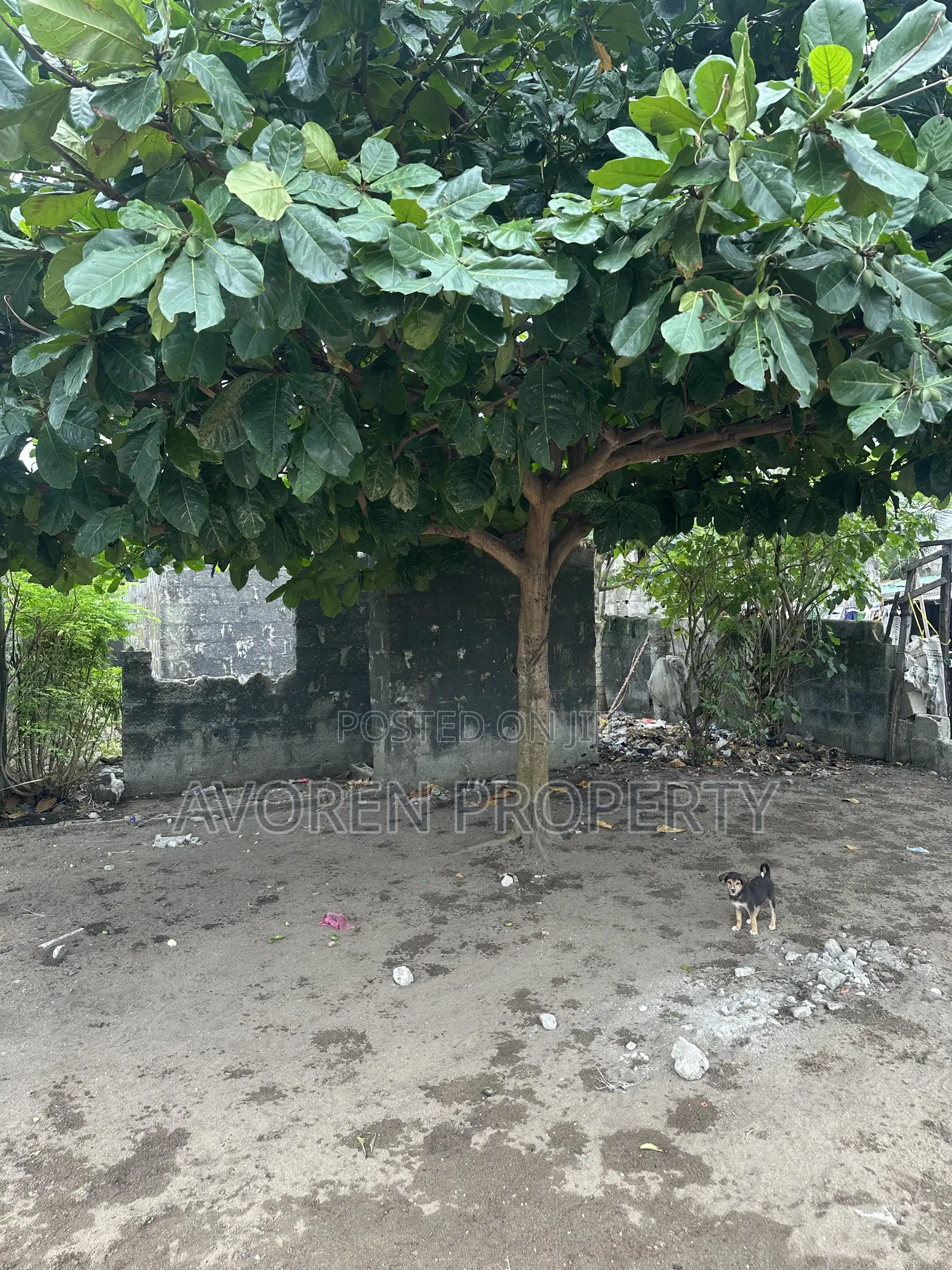 3bdrm Bungalow in Badore, Eleko for sale in Eleko