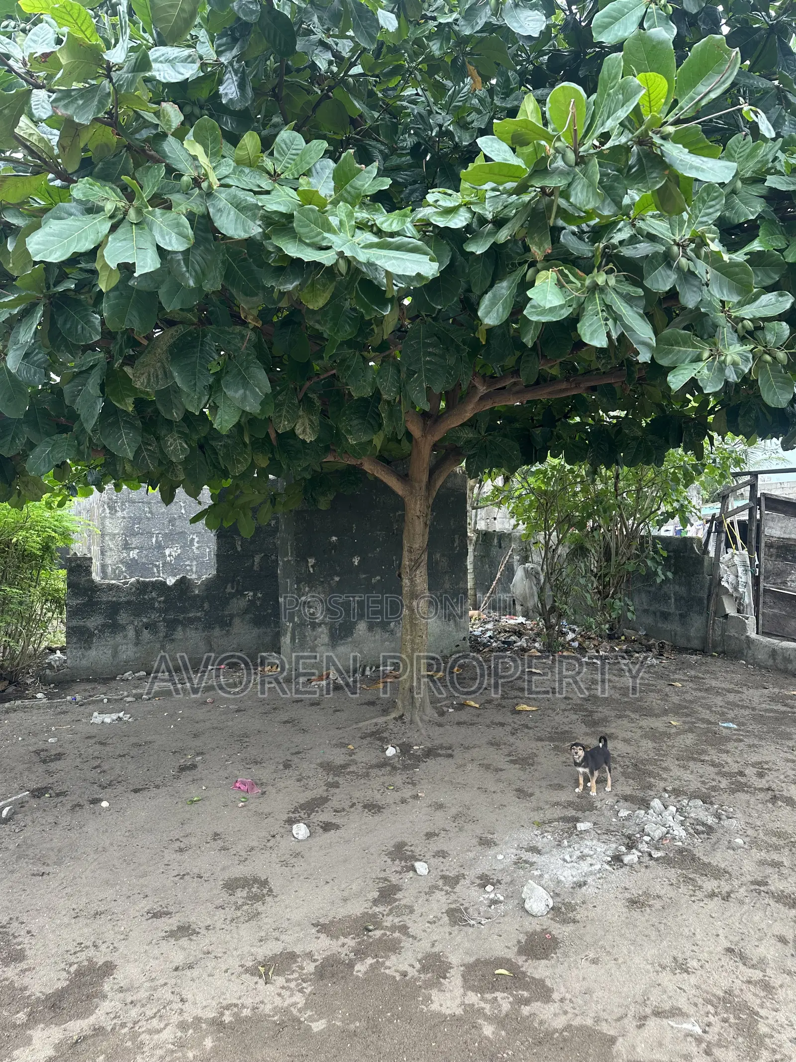 3bdrm Bungalow in Badore, Eleko for sale in Eleko