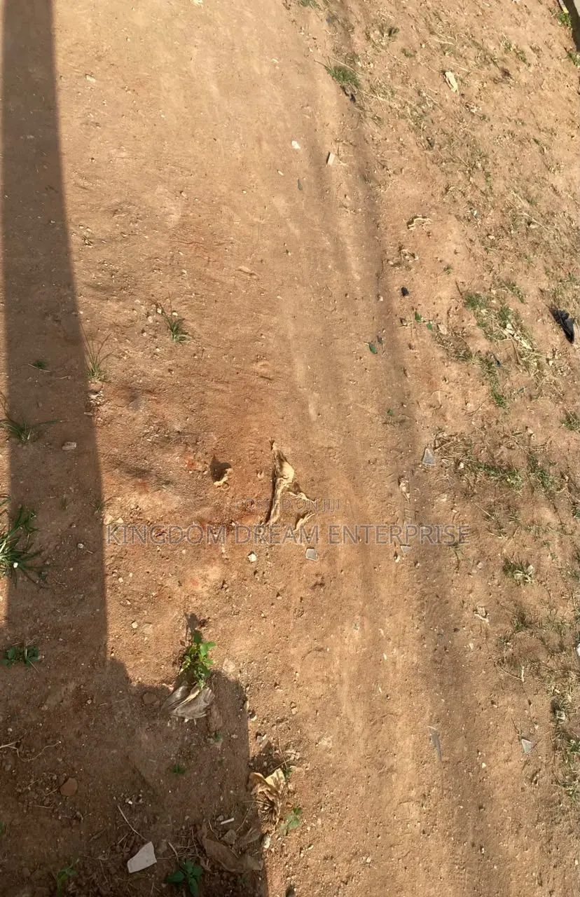 CofO COMMERCIAL LAND FOR SALE | at KATAMPE Main 1 Hectare Corner Piece in Katampe (Main)