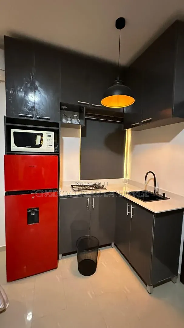 Furnished Studio Apartment in Lekki Phase 1 Lagos for rent in Lekki Phase 1