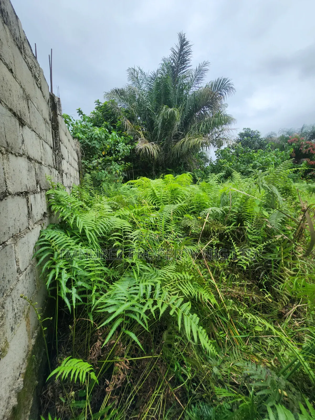 A Very Good Land of 400 SQM for Sale at Abijo in Abijo