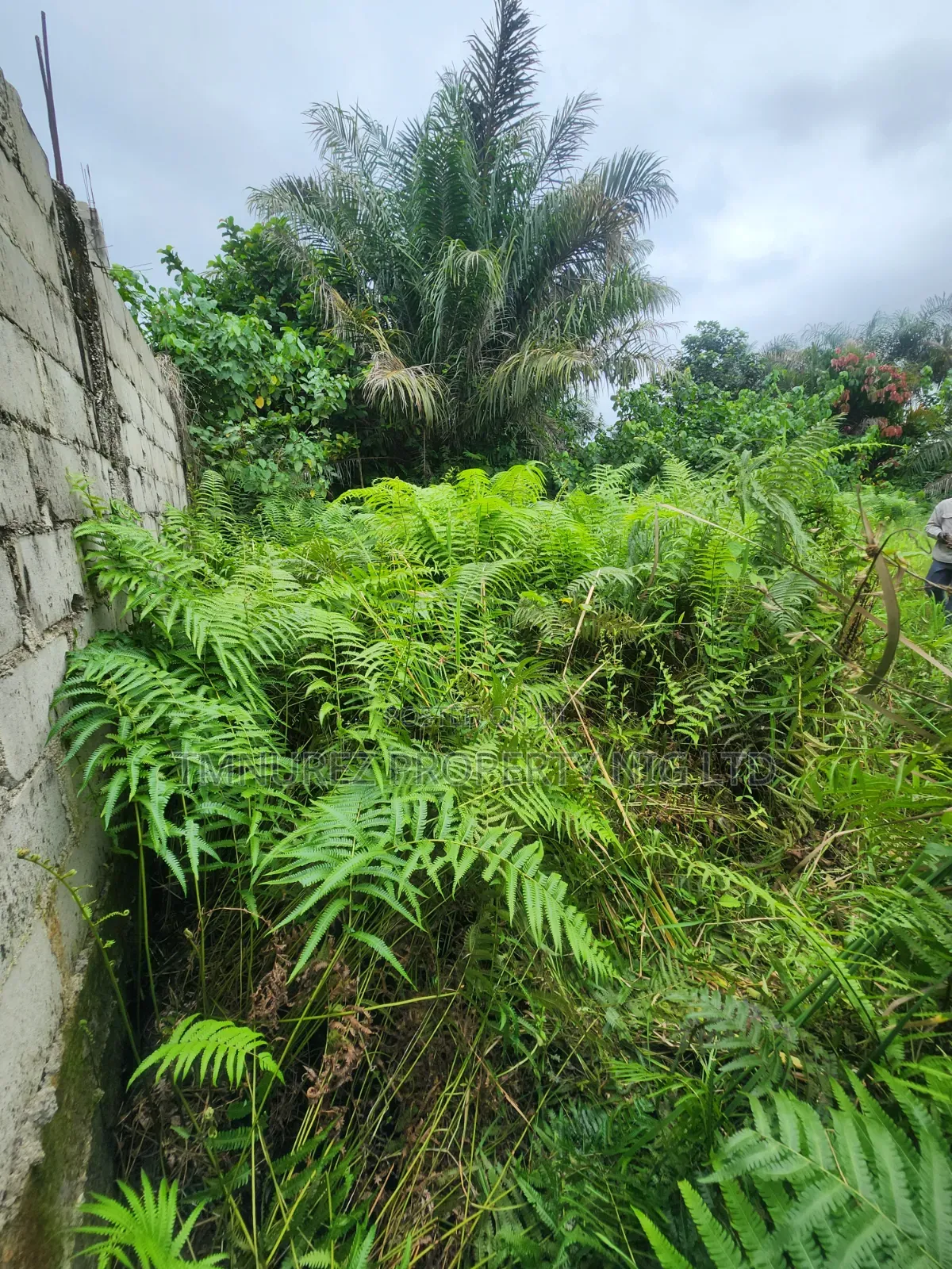 A Very Good Land of 400 SQM for Sale at Abijo in Abijo