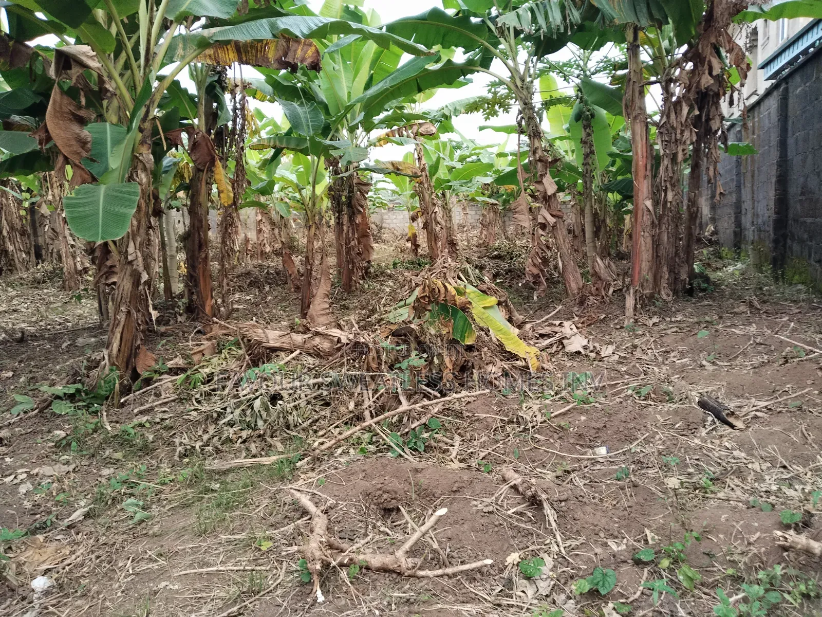 Investment /Development Land Standard Full Plot at Magboro in Obafemi-Owode