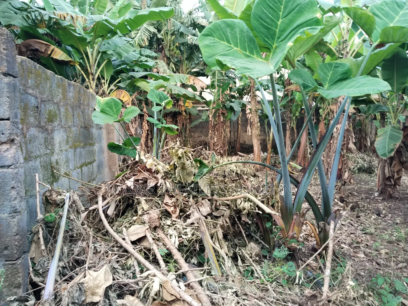 Investment /Development Land Standard Full Plot at Magboro in Obafemi-Owode