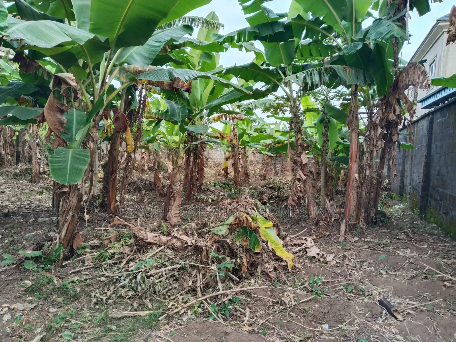Investment /Development Land Standard Full Plot at Magboro in Obafemi-Owode