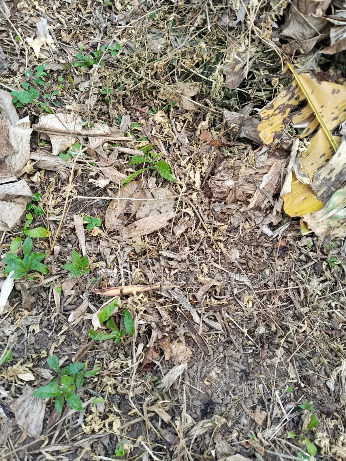 Investment /Development Land Standard Full Plot at Magboro in Obafemi-Owode