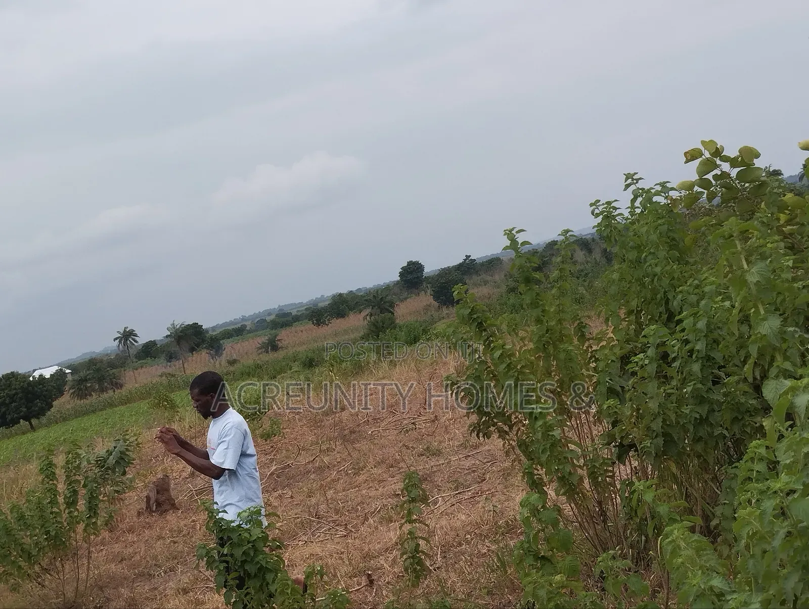 10 Acres Fertile Famland for Sale at the Back of NIKKO Iseyin-Oyo Road in Iseyin