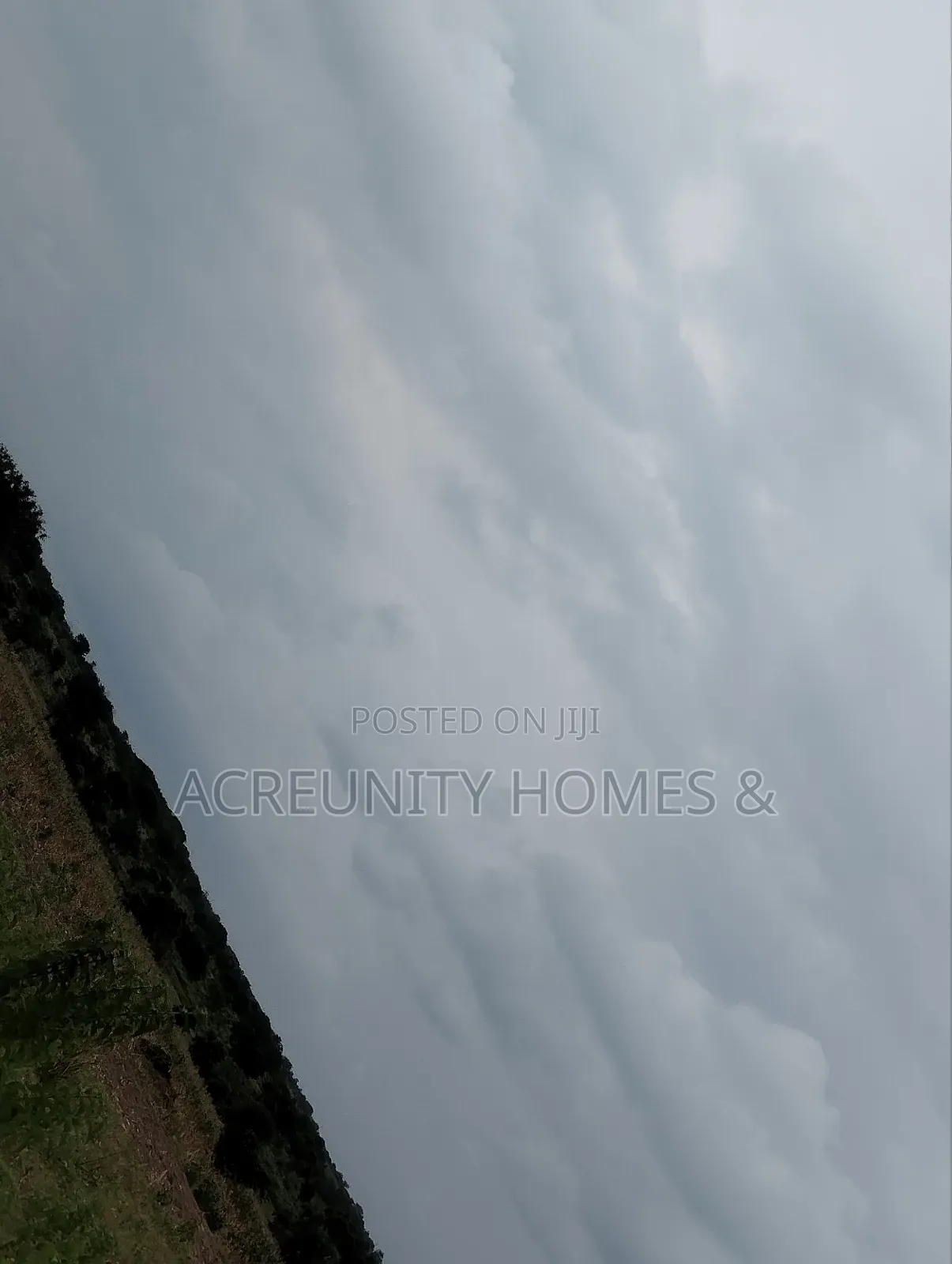 10 Acres Fertile Famland for Sale at the Back of NIKKO Iseyin-Oyo Road in Iseyin