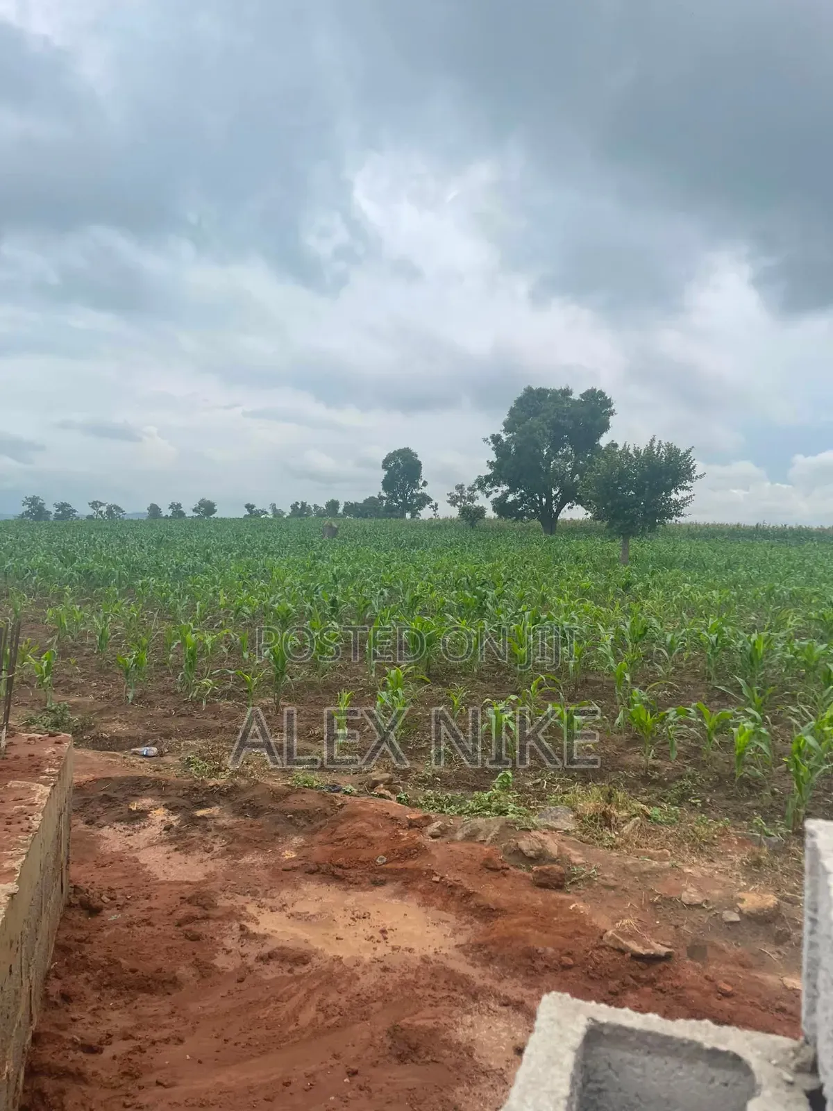 Land and Plots for Sale in Central Business District